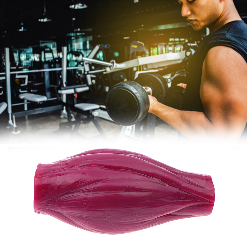1lb Muscle to Keep Fit & Weigh - Nutrition Fitness Course 评论和价格